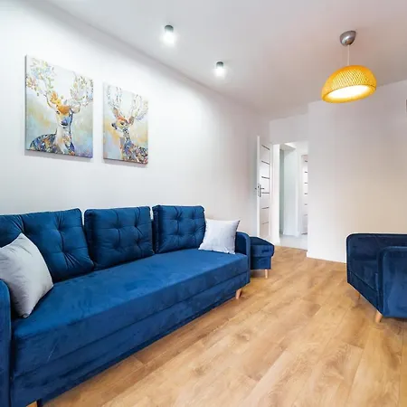 Apartamenty Lisowski CENTRUM Goszczyńskiego-2